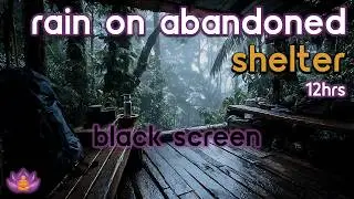 [Black Screen] Rain on Abandoned Shelter - No Thunder | Safe From the Rain | Rain Sounds for Sleep
