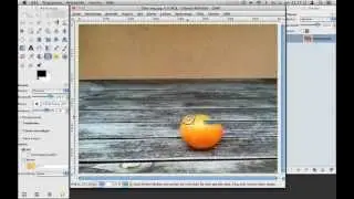 GIMP Tutorial Bildelemente entfernen mit dem Klon-Werkzeug