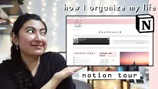 how I organized my life with notion | dashboard, budgeting, mood tracker, + free template! | PUTSY