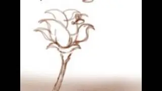 The Flower Animation