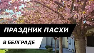 Весна в Белграде: самое красивое время года, пасхальные выходные, как проводят это время в Сербии