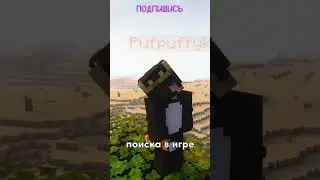 Самый редкий шаблон для брони в майнкрафт