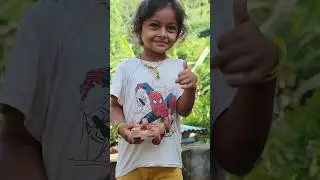 How To Make Wooden Car, Easy To Make -DIY #shorts