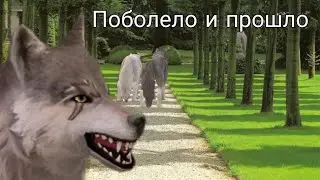 Клип 