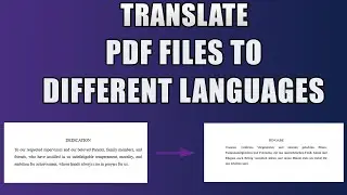 How To Translate PDF Files To Different Languages  | Quick & Easy Method