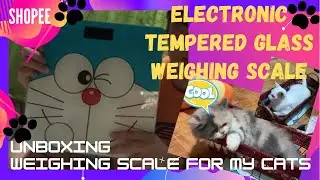 WEIGHING SCALE for my CATS :