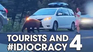 Tourists and 