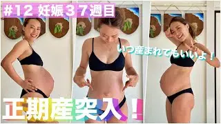 いつ産まれてきてもいいよ💕正期産突入！‖妊娠３７週‖妊娠記録＃12