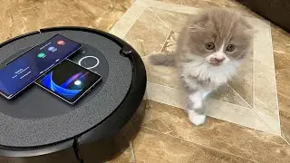 LG Wing & Vacuum Cleaner Incoming Call