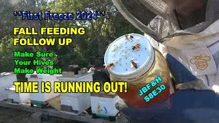 After Freeze Weight Checks and Honey Feeder Follow Up S8E30 #beekeeping