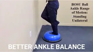 BOSU Ball Standing Unilateral Ankle Range of Motion