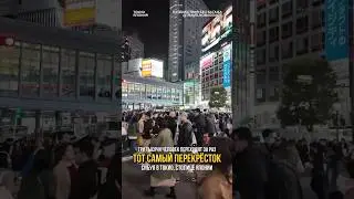 Тот самый перекрёсток в Японии