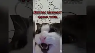 Слово РУМ и смерть для вас означает одно и тоже 