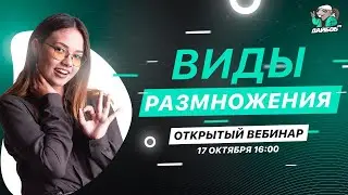Виды размножения | Биология ЕГЭ 2021 | ДАЙБОБРУ
