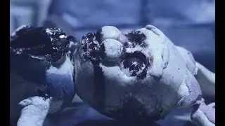 Самый Жестокий Мультик #3 Исполнитель Желаний - ДЖИНН horror short (ужасы)
