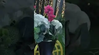 قاعة ميراج -قها- 2024