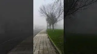 কুয়াশাচ্ছন্ন পুরো শহর।🥶🥶🥶#wintertime #europe #shorts