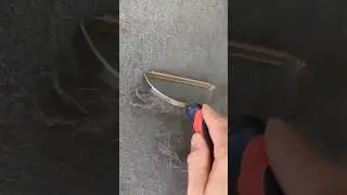 PetShout Amazing Pet 🐶 Hair Removal Tool