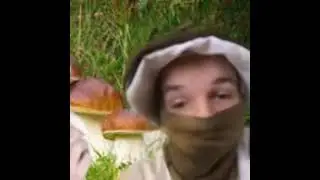 папа отчим гриб и тик так 