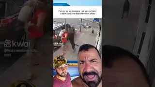 NUNCA DEIXE SEU CACHORRO FAZER ISSO #cães #noticias #cachorro #ataque