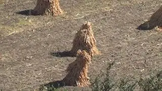 Старый Орхей, село Ботучень -  жемчужины  Молдовы (репортаж 2020)