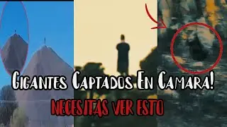 TOP De VIDEOS DE GIGANTES  En Mexico CAPTADOS En CAMARA!