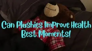 Can plushies Improve Our Health|| BEST MOMENTS! Sanders sides clips
