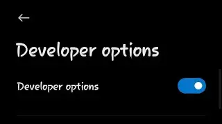 Developer Options in MIUI