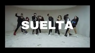 Bella Dose - 