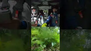 Wow