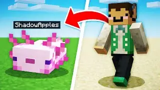 I Used Shapeshift In Minecraft… (UHC+)