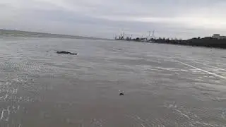 Таганрог Азовское море Отлив 09 10 2021