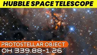 Hubble Space Telescope captures stunning Protostellar Object OH 339.88-1.26
