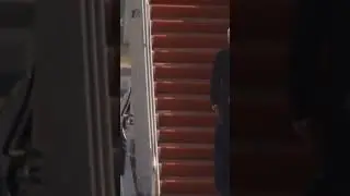 stalker 