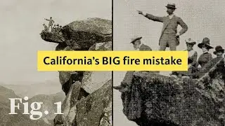 The overlooked solution to deadly wildfires