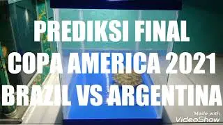PREDIKSI FINAL COPA AMERICA 2021 WITH TURTLE BRAZIL VS ARGENTINA SIAPA JAGOAN KALIAN YANG AKAN JUARA