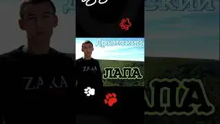 Дрымский - Лапа
