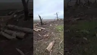Российский солдат снимает море трупов своих соратников на подходах к Авдеевке