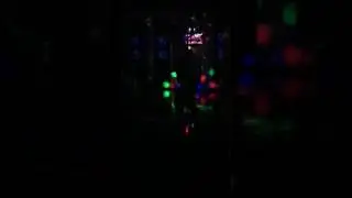 Амстердам, Ауф, Джан, Каха братан