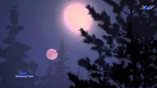 ♡ SEAY - Whispering Pines (beautiful, relaxing music)