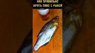 ПИВО С ВЯЛЕНОЙ РЫБОЙ/ТЫ ВСЕ НЕПРАВИЛЬНО ДЕЛАЕШЬ