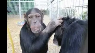 Grooming time!