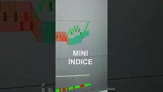 Day Trade Setup Mini Indice Renko 20R
