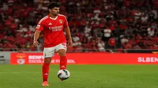Tomas Araujo • Beast Center-Back • Defensive Skills & Tackles ● Benfica 2024