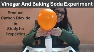 Vinegar and Baking Soda Balloon Experiment - Inflating A Balloon Using Vinegar And Baking Soda