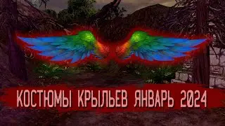 Костюмы крыльев Январь 2024 | Кабал Онлайн (EU)