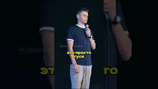 кто такие гуси-лебеди? 