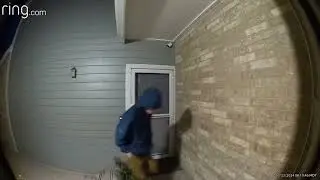 PorchPirate 20240323 0852