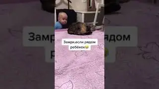 Походу пронесло на этот раз 😂#shorts