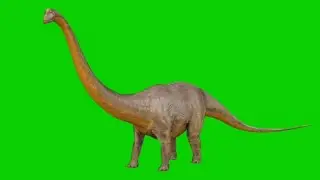 Big Dinosaur Green Screen Video | No Copyright Video |